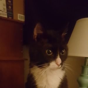 Meet your Posher, Terri